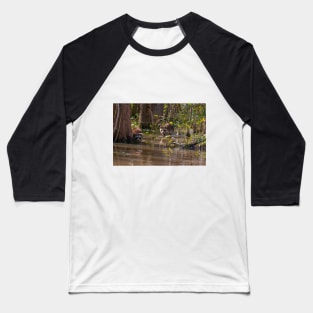 Raccoons on the Louisiana Bayou Baseball T-Shirt